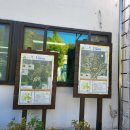 원주굽이길 6코스 고바우길 이미지