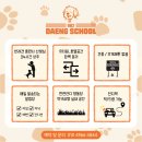 902댕스쿨 이미지