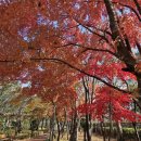 자매근린공원 이미지