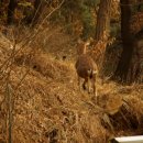 솔리데오 이미지