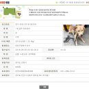 D00908 | [D-4] 첫 안산 유기견 보호소 방문