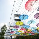 동물원 가는 길 이미지