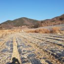 사방공인중개사사무소 이미지