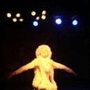 해피퍼피 이미지