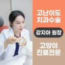 미소 동물병원 이미지