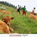 하늘오름펜션 이미지