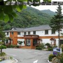 설천면112 Daum카페