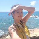 알로하푸드 이미지