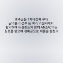 호주군과 에뮤전쟁 이미지