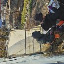 육령2리 Daum카페