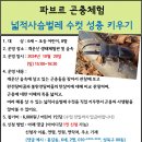 10.20(일)파브르 곤충체험(넓적사슴벌레 수컷 성충키우기)_오후3시_6세~초등생 어린이 대상 이미지