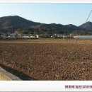 천문동 농장 이미지