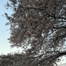 시현민박 이미지