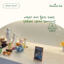 푸른솔 이미지