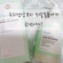 소노지아 이미지
