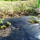 반디별펜션 이미지