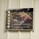 (주)해심