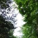 삼청공원 정문 이미지