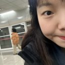주영농장 | 취업 걱정 많은 간호학과 학생의 강릉 11월 일상 기록 ･᷄-･᷅ ☘︎