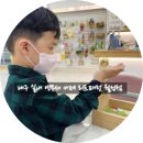 씨유 월성협성휴포레점 | 대구 실내 앵무새 카페 리프패럿 월성점 방학 때 아이랑 갈만한 곳