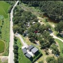 초평밤나무 이미지