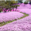 왕궁농장 이미지