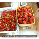 솔빛농장 이미지