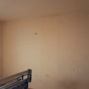 안성맞춤대로 이미지