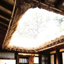 김유정사랑방 이미지