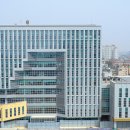 장애인무료직업소개소 전북도민일보