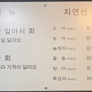 자연산회통영붕장어 이미지