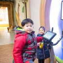 충청남도 산림박물관 이미지