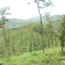 영곡마을 이미지