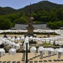봉암사 - 1772 | 봉암사