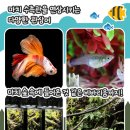 테라리움동물병원 이미지