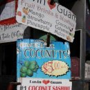 사랑의언덕 이미지