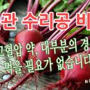 혈관 수리공 비트 이미지