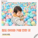 경상북도 청도교육지원청 | 경북 청도 아이랑 갈만한곳 실내 소싸움미디어체험관 소싸움경기장