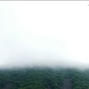 서포시장 이미지