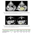 CT를 이용한 canine HCC의 morphometric evaluation과 악성도의 예측 이미지