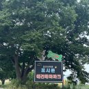 [애견동반] 안성 &#39;포시즌 애견 테마파크&#39; 반려견 동반 후기 (소형존)
