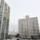 등촌 Daum카페