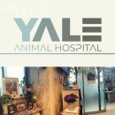 예일동물병원 이미지