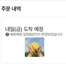 더초당 | [링크팜/초당옥수수] 재재재구매한 제주도 초당 옥수수 '내돈내산' 주문 후기