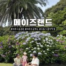 돌미로 | 제주 아이와 가볼만한곳 국내 최대 규모 미로공원 메이즈랜드 후기