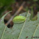 등골농장 이미지