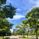 신남약국 이미지