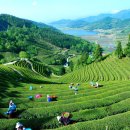 산너머남촌에는 이미지