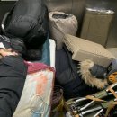 평화로운나날 이미지