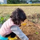 길상농장 이미지